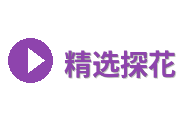 精选探花Logo